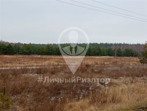 Дом 41м², участок 12 сот.